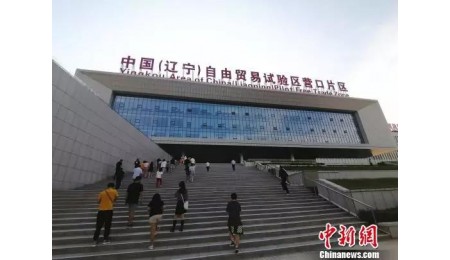 自贸区“两优一先”表彰大会，看看谁是我们身边的榜样！