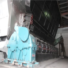 29MW-116MW 光伏燃煤燃生物质常压热水锅炉